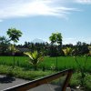 Bali-Landschaft (38)